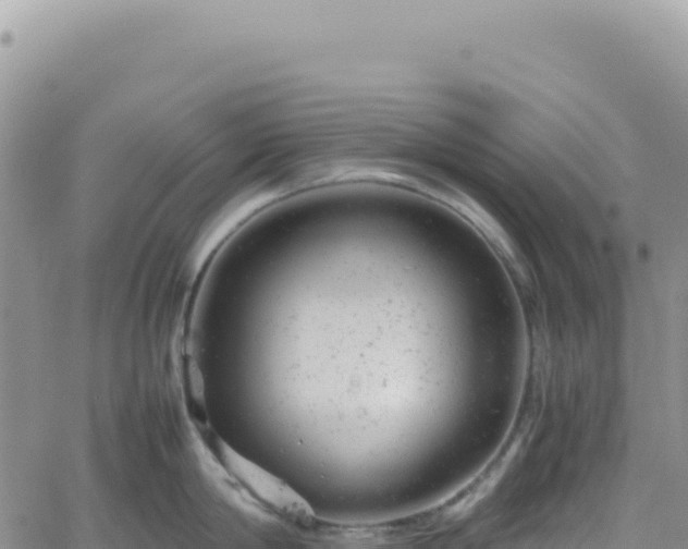 X0000061760814200512091659