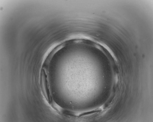 X0000061760815200512091659