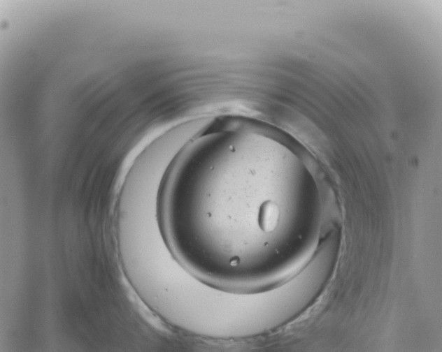 X0000061760816200512091659