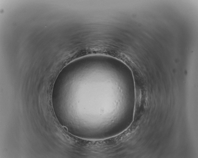 X0000061760817200512091659