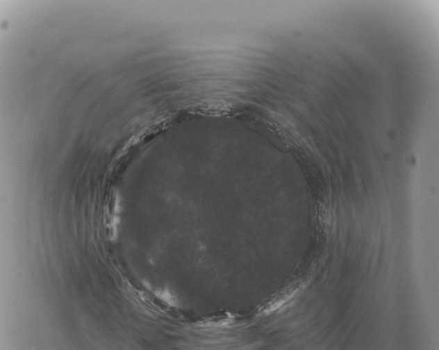 X0000061760818200512091659