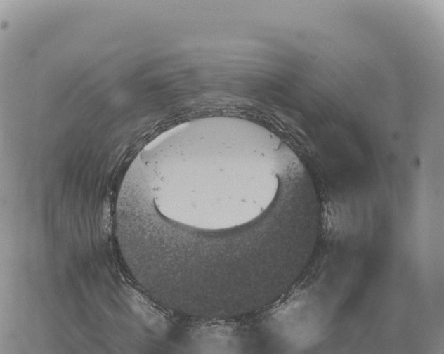 X0000061760820200512091659