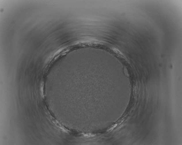 X0000061760822200512091659