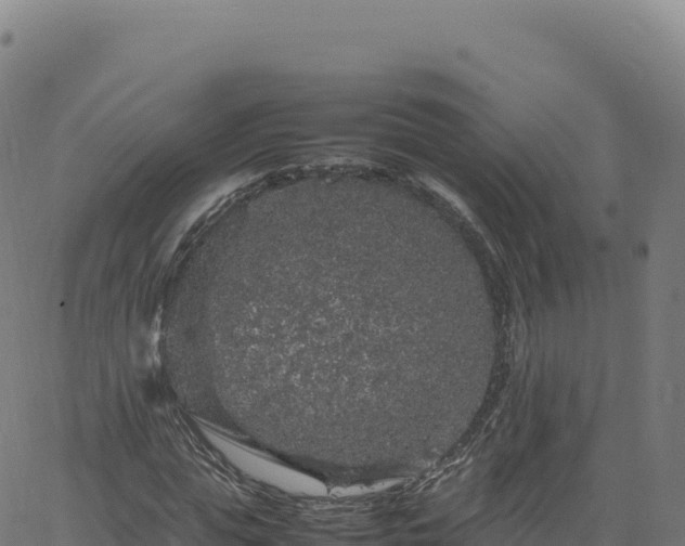 X0000061760823200512091659