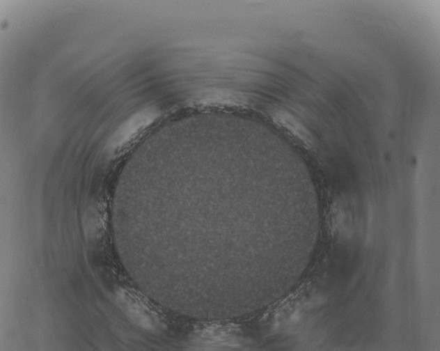 X0000061760824200512091659