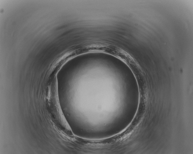 X0000061760825200512091659