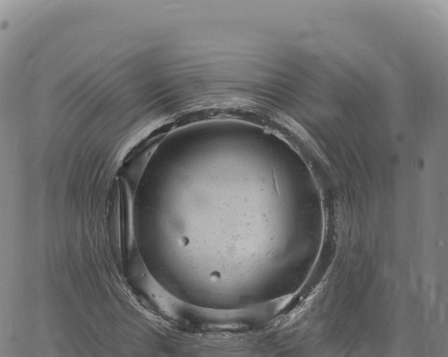 X0000061760826200512091659