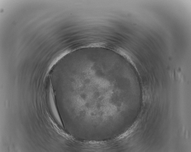 X0000061760827200512091659