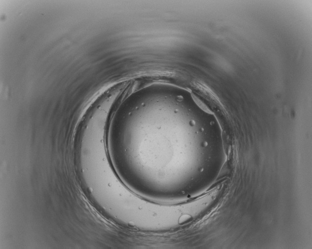 X0000061760828200512091659