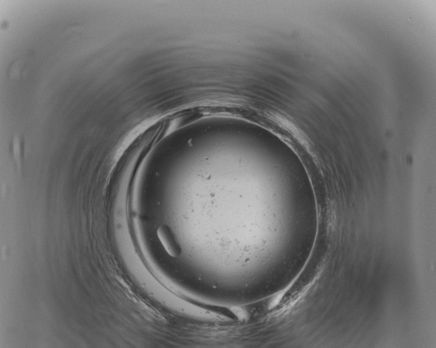 X0000061760829200512091659