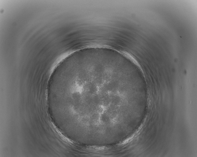 X0000061760831200512091659