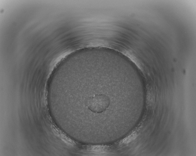 X0000061760832200512091659