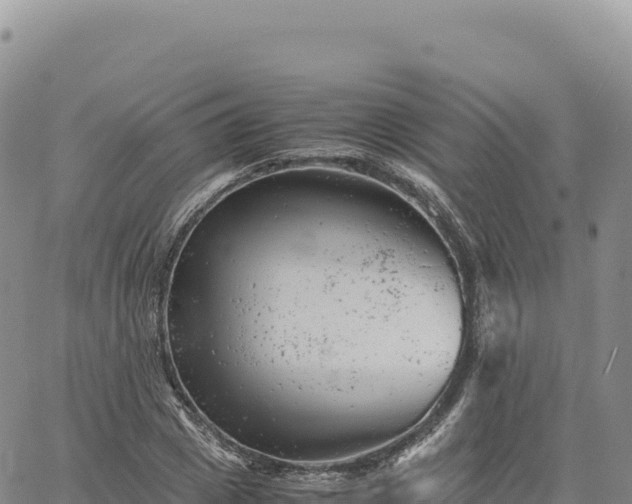 X0000061760833200512091659