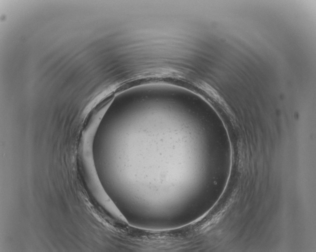 X0000061760834200512091659