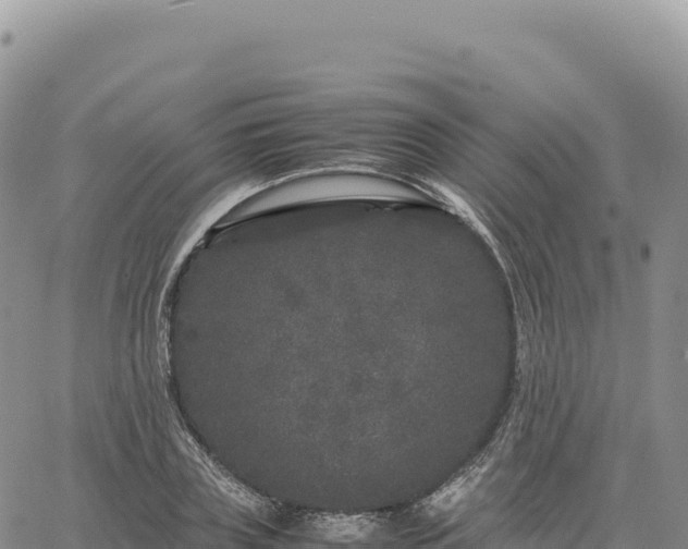 X0000061760835200512091659