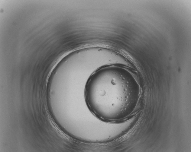 X0000061760836200512091659