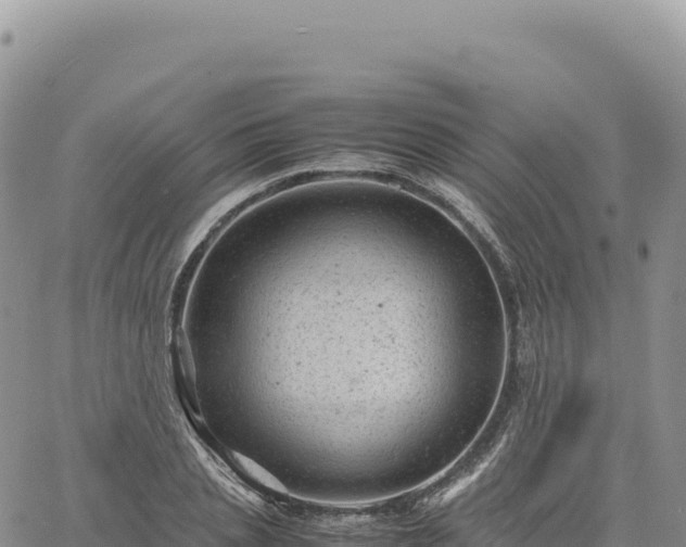 X0000061760837200512091659