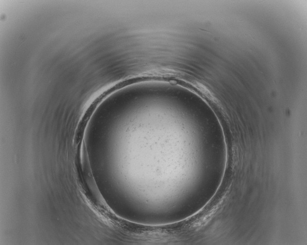 X0000061760838200512091659