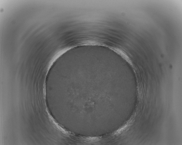 X0000061760839200512091659