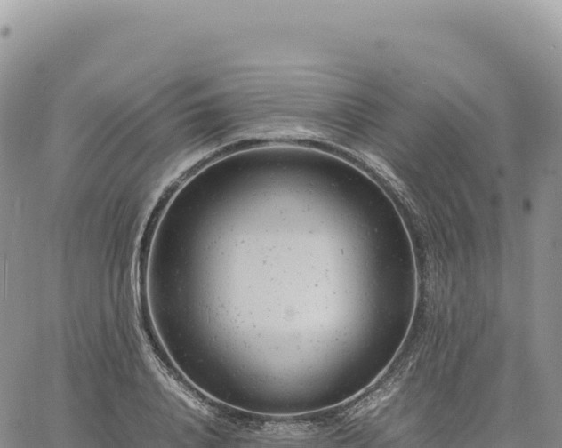 X0000061760840200512091659