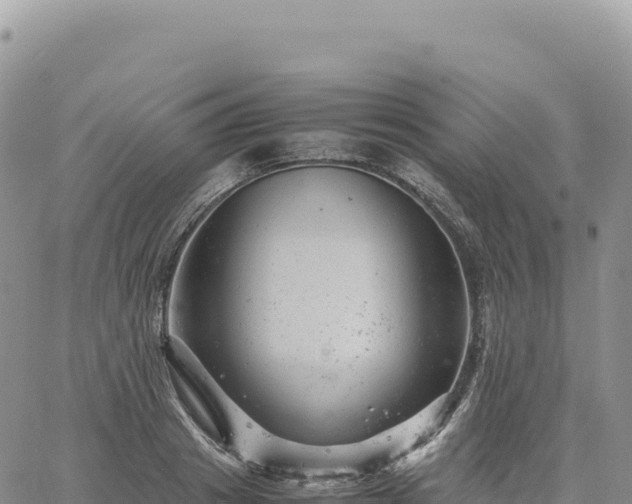 X0000061760841200512091659