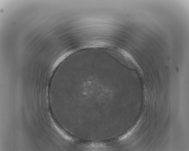 X0000061760842200512091659