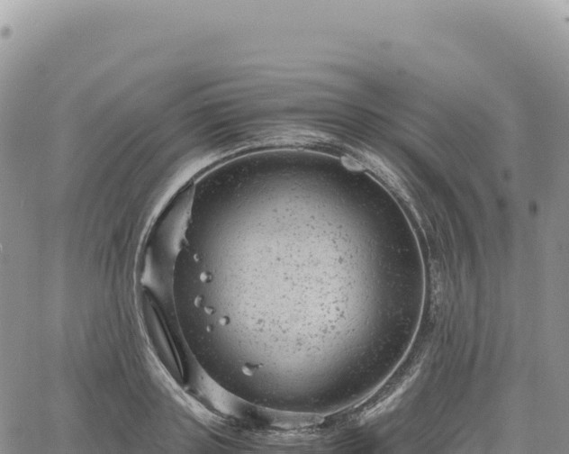 X0000061760843200512091659