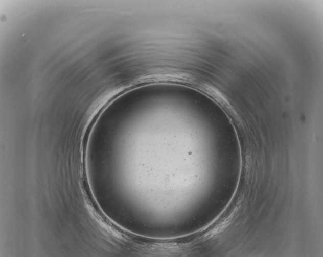 X0000061760844200512091659