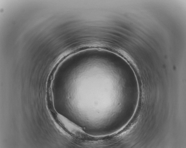 X0000061760845200512091659