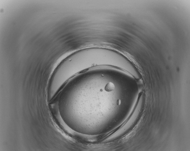 X0000061760846200512091659