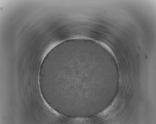 X0000061760847200512091659