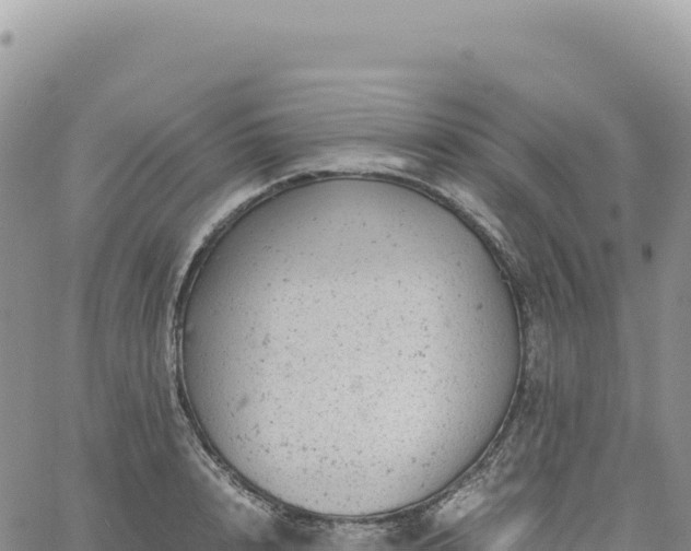 X0000061760848200512091659