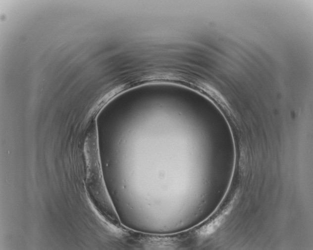 X0000061760849200512091659