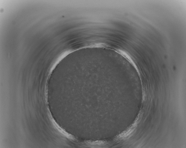 X0000061760851200512091659