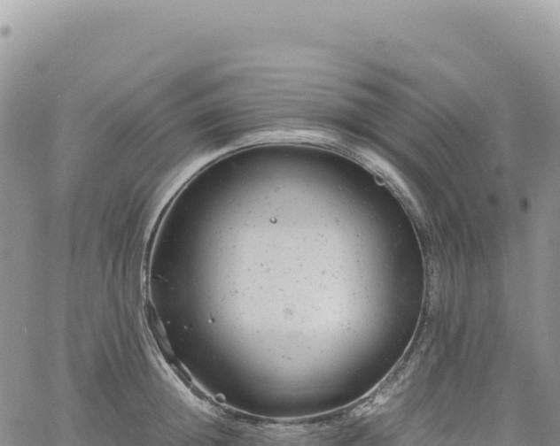 X0000061760852200512091659