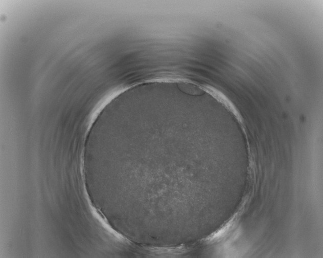 X0000061760855200512091659