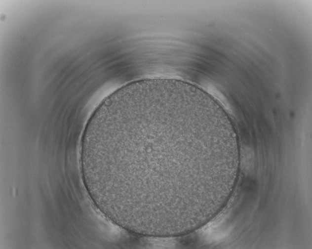 X0000061760856200512091659