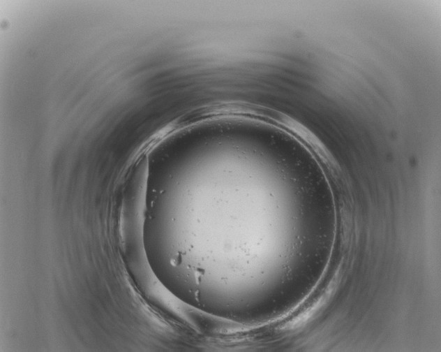 X0000061760857200512091659