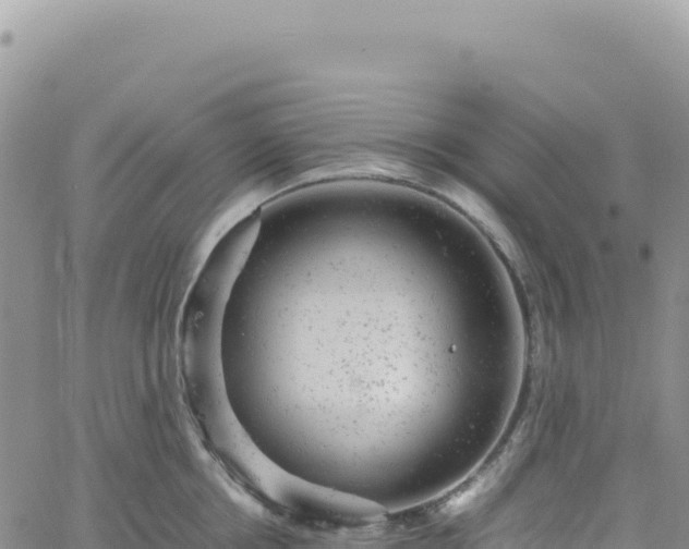 X0000061760858200512091659