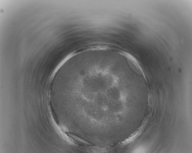 X0000061760859200512091659