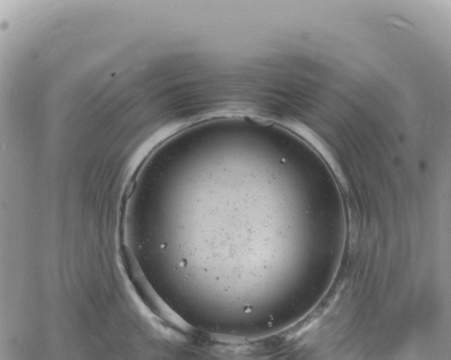 X0000061760861200512091659