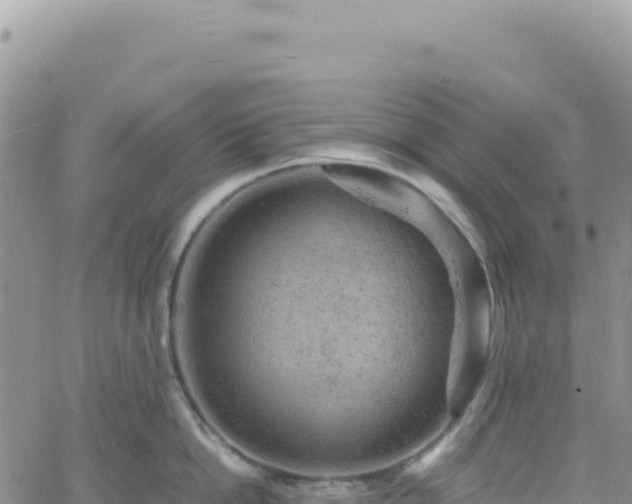 X0000061760862200512091659