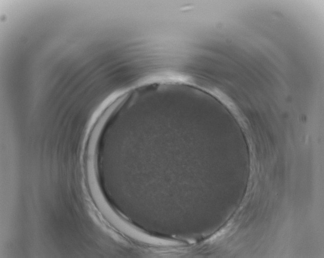 X0000061760864200512091659