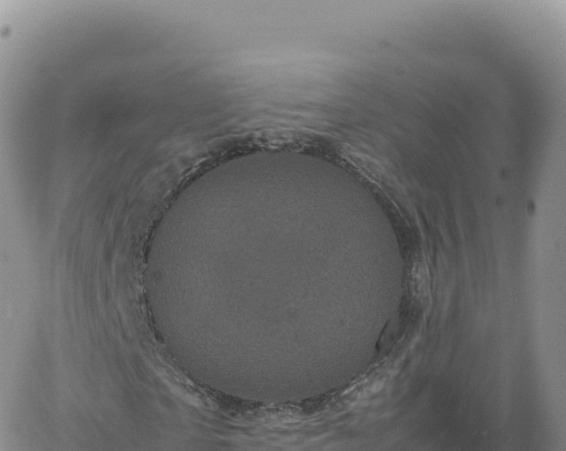 X0000061760865200512091659