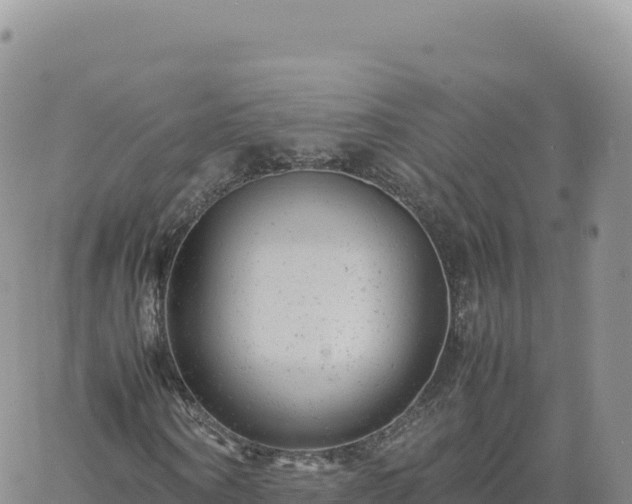 X0000061760866200512091658