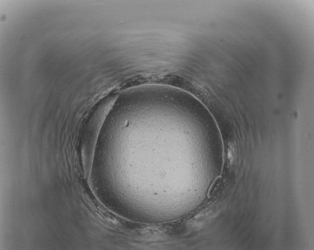 X0000061760867200512091658