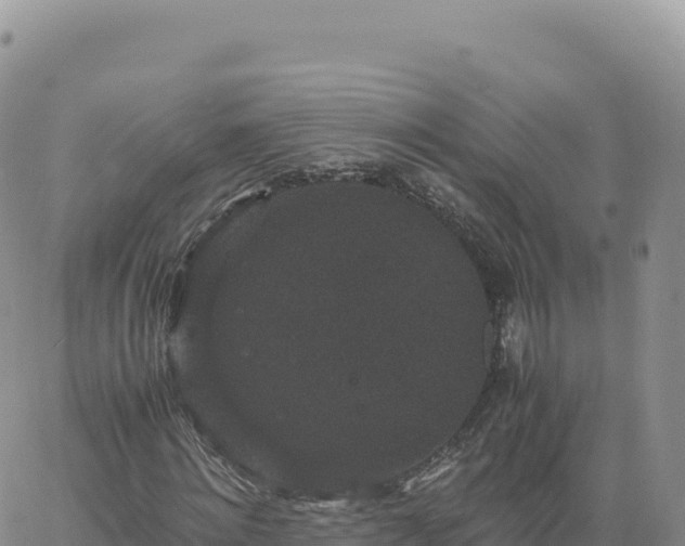 X0000061760868200512091658