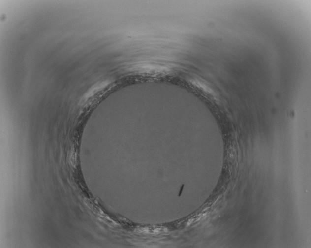 X0000061760869200512091658