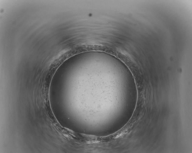 X0000061760870200512091658