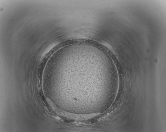 X0000061760871200512091658